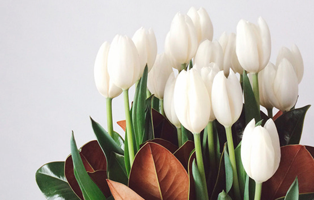 Link to The art of fresher flowers