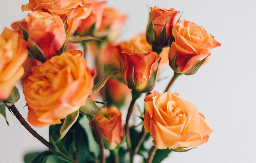 Link to Saying it with flowers