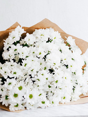 White petals