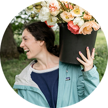 Link to Beverly Clark